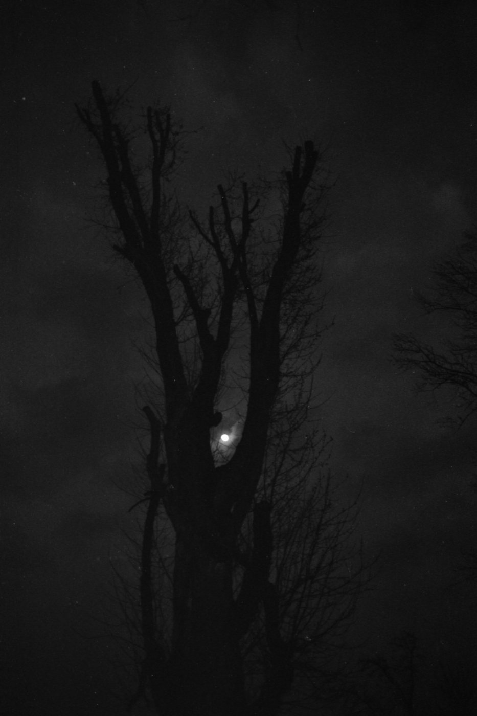 20210404-Kas-X36