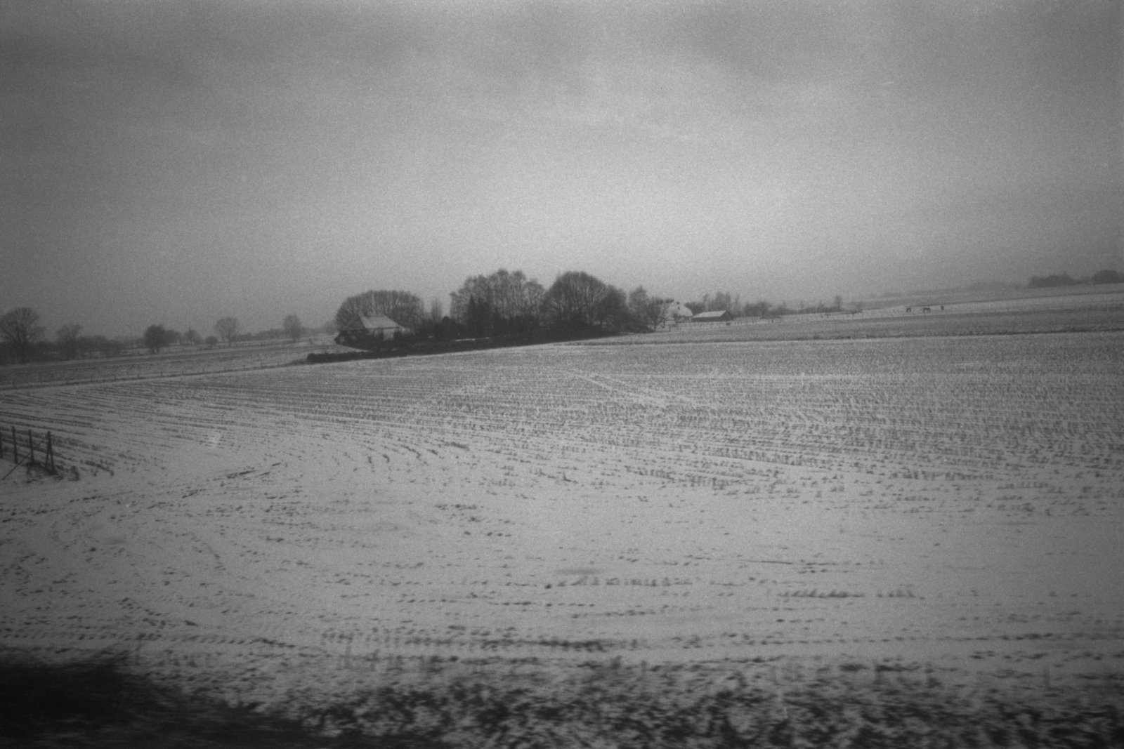 Snow-field-Large