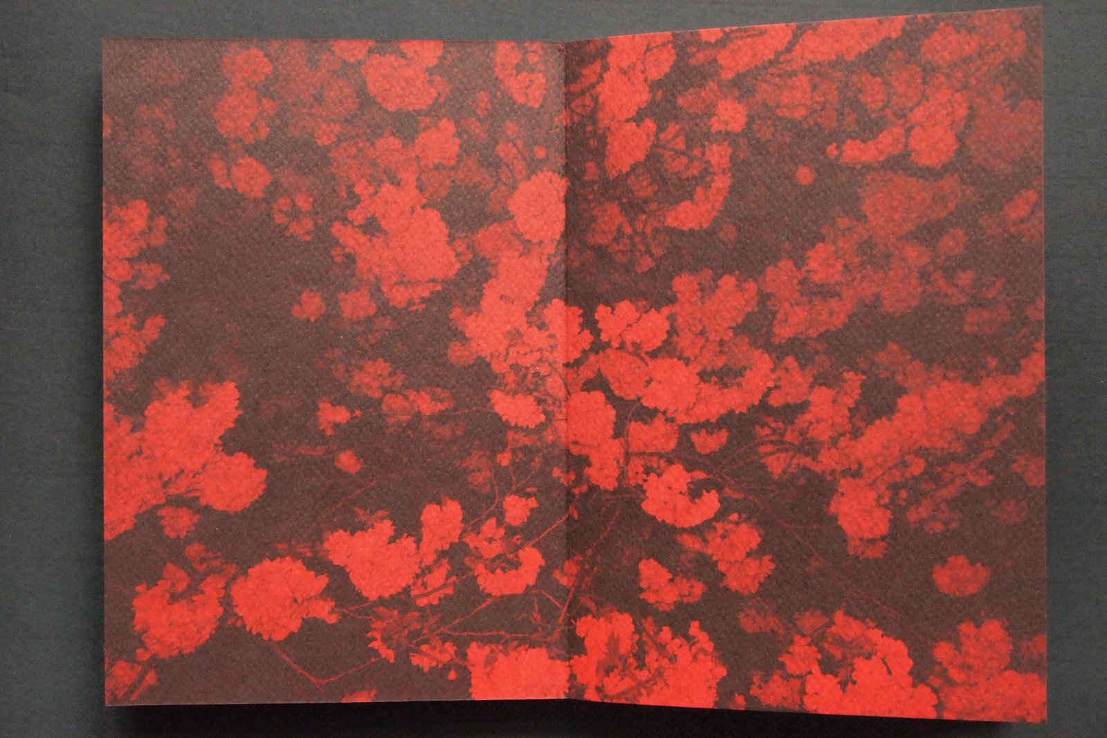 book-2JPG
