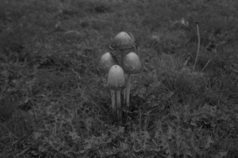 Photo Meet / Northern Narratives