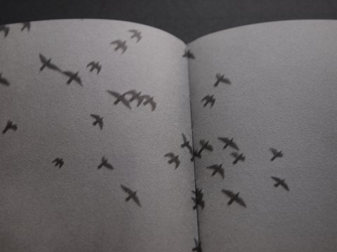 Jörg Colberg, Conscientious Photo Magazine