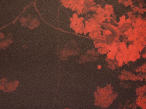 Fiebre Photobook Dummy Award, 2015 Dec