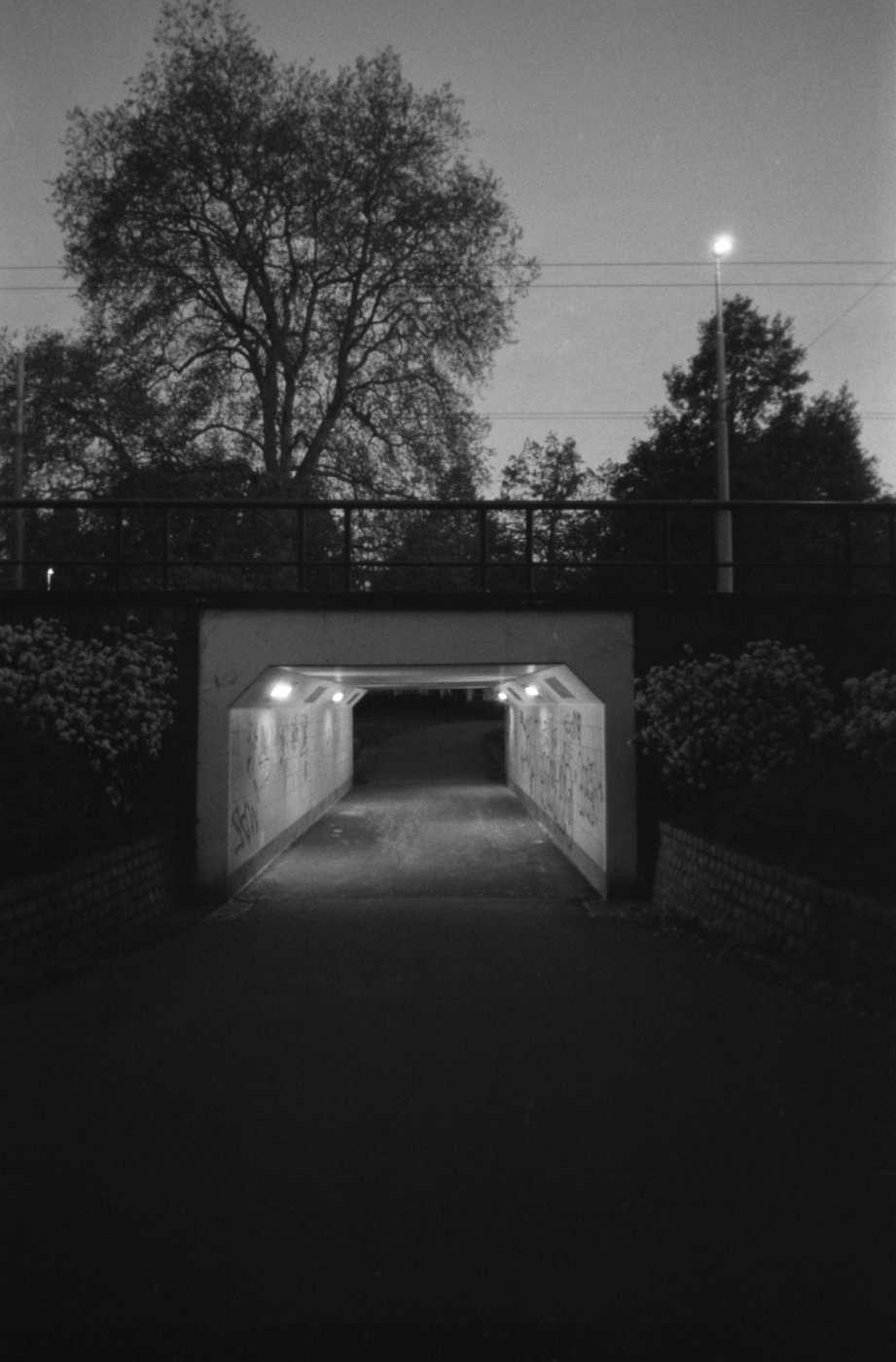 200425-KlY27