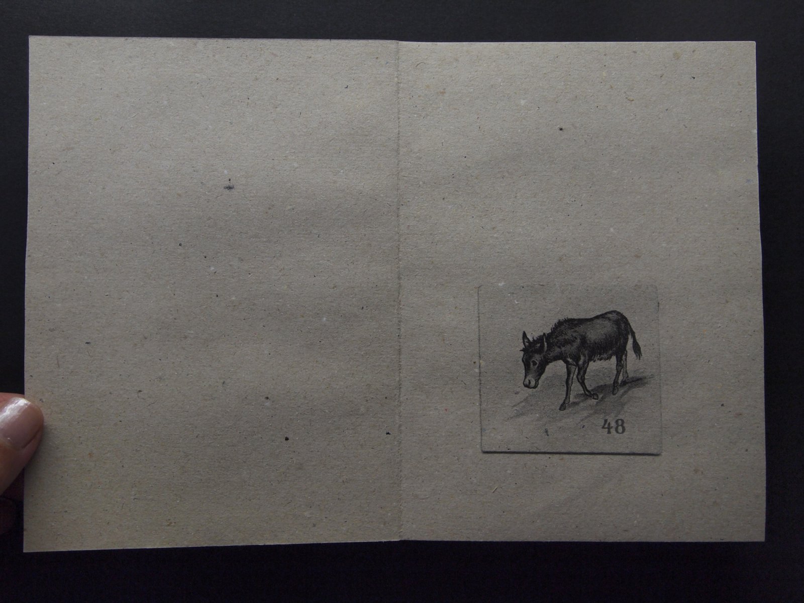 book-1JPG