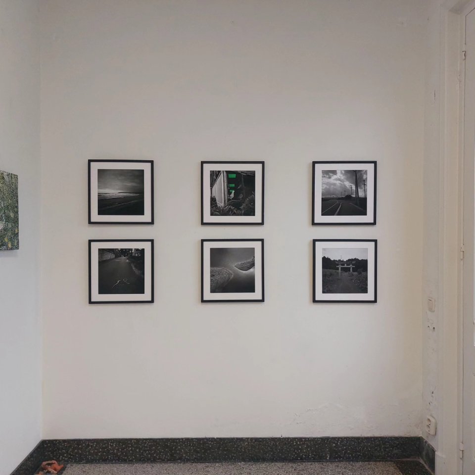 "Grootse kunst, fijne prijzen" exhibition