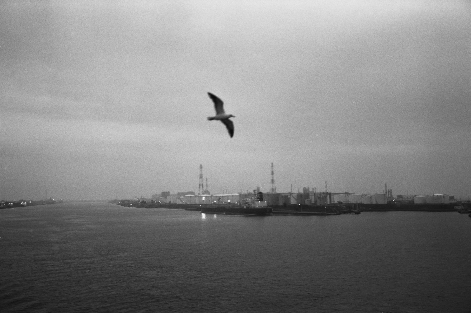 20250706-Leica-Sakhalin-11