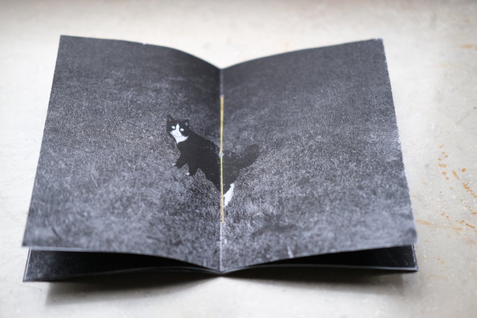 2025 Annual Exhibition in Emmerich, DE