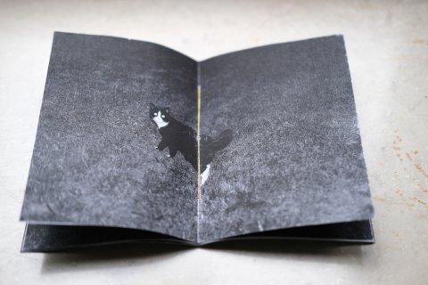 2025 Annual Exhibition in Emmerich, DE