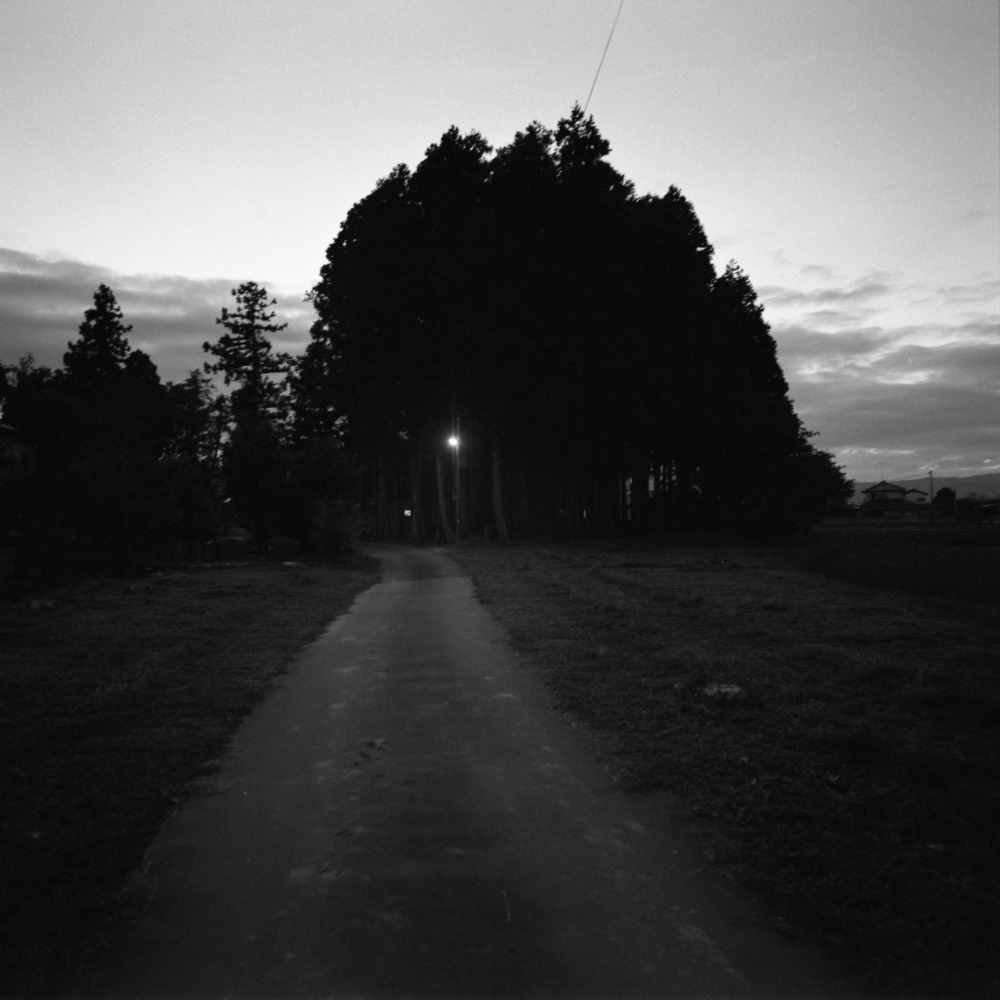 Homeward_Miyuki-Okuyama-29