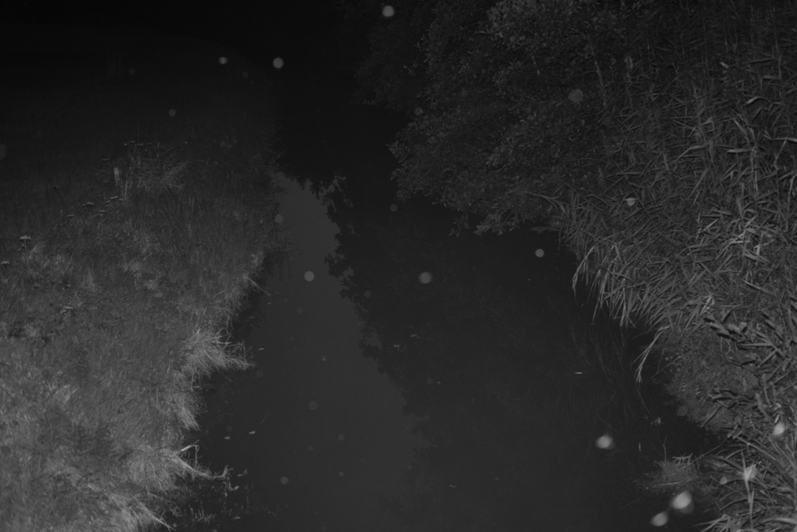 DSCF6022JPG