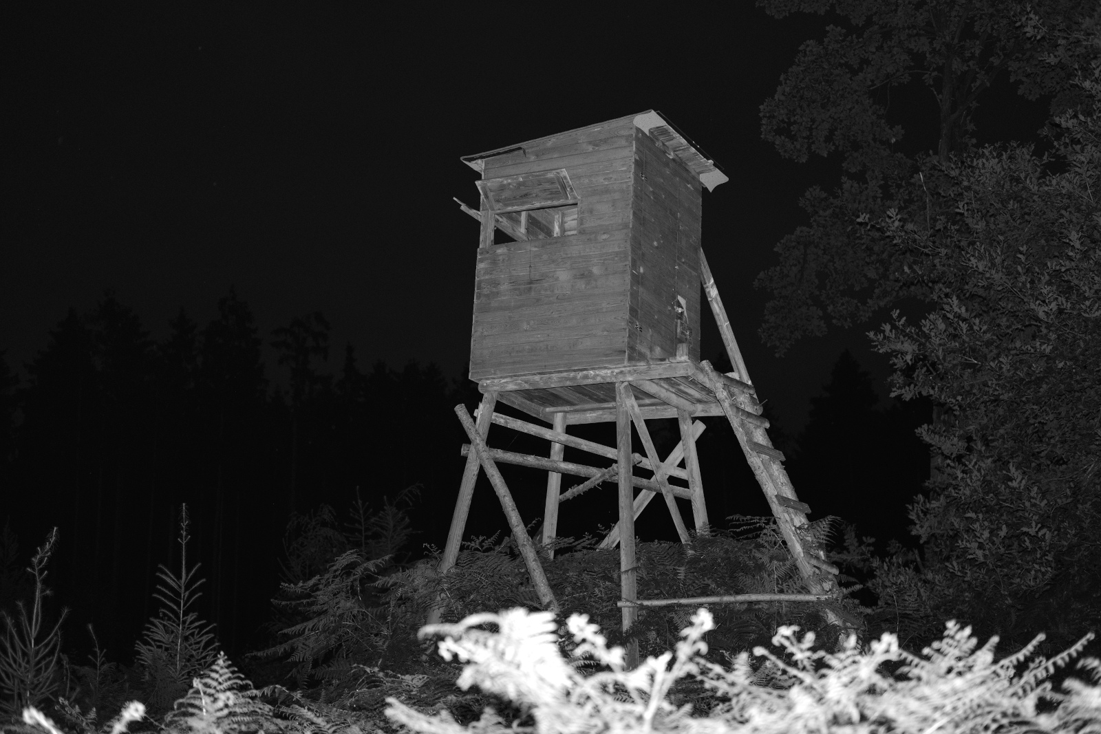DSCF6477JPG