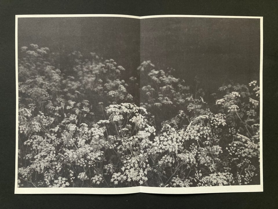 Book Exhibition in Italy