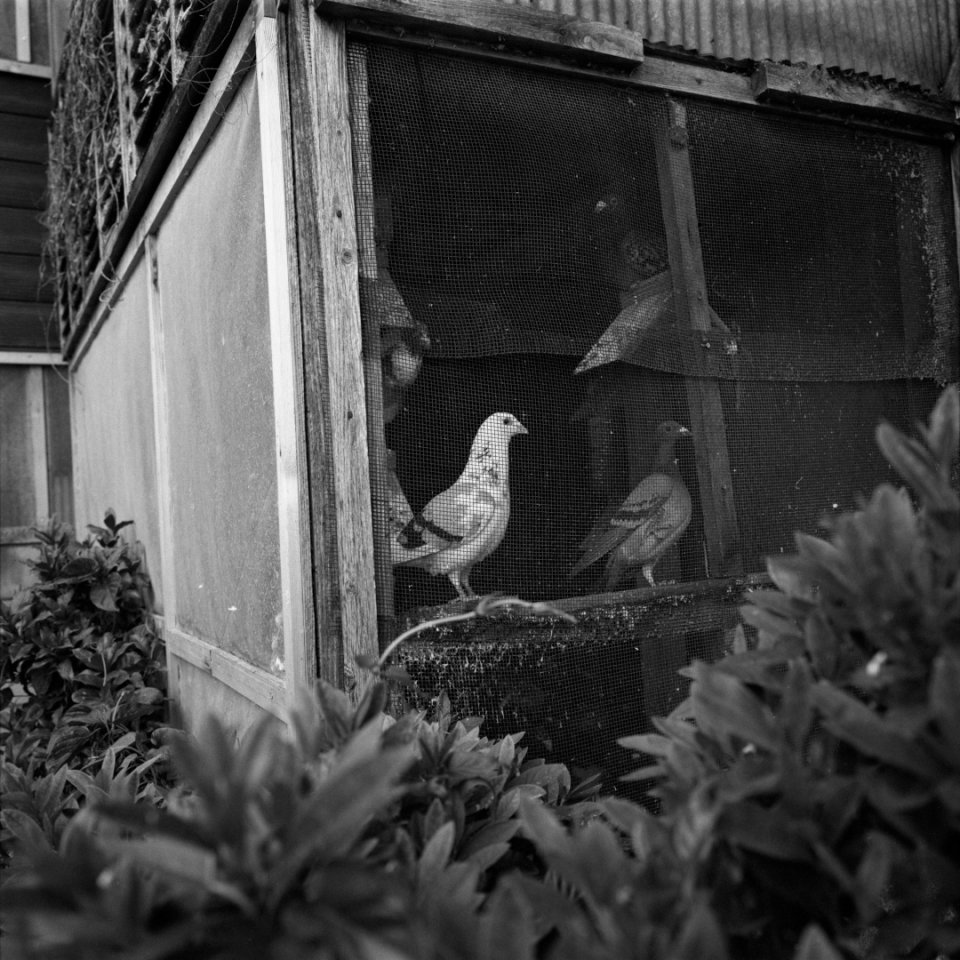 Salon der Knstler*innen